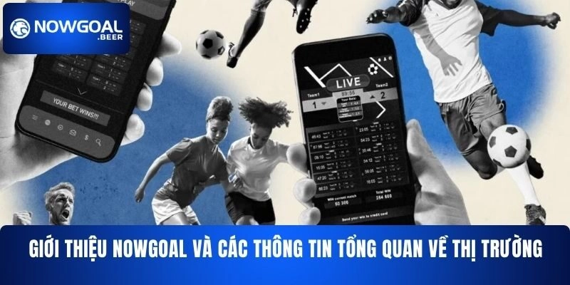 Giới thiệu NOWGOAL và các thông tin tổng quan về thị trường