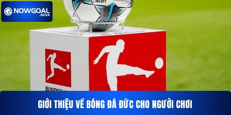 Đôi nét về tỷ lệ cược bóng đá Đức cho người chơi 