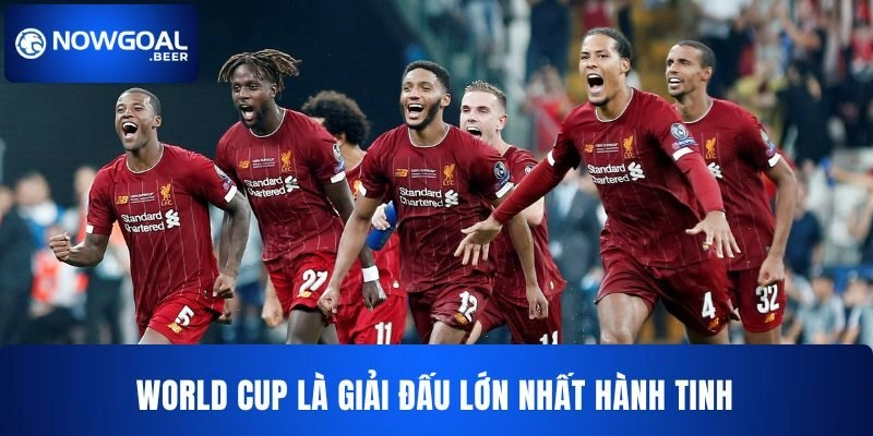 World Cup là giải đấu lớn thu hút hàng triệu người theo dõi mỗi khi tổ chức