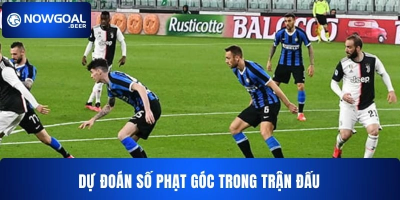 Dự đoán số phạt góc kèo bóng đá ý NOWGOAL 