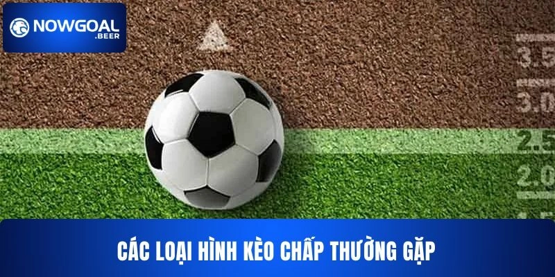 Tổng hợp các loại hình kèo chấp NOWGOAL 